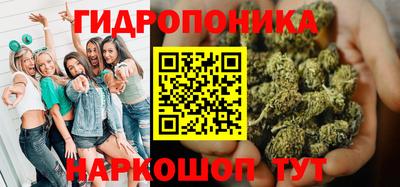 a pvp Бийск