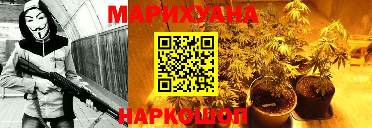 Бошки марихуана семена  МАРИХУАНА Bruce Banner  Шишки марихуана White Widow  Россия  Вход с VPN 